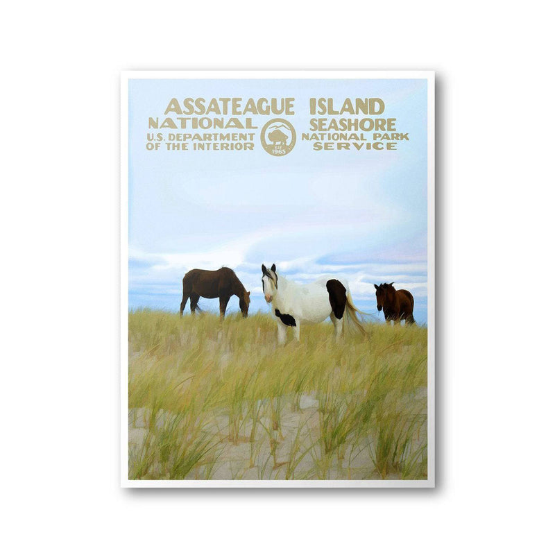 Assateague Island National Seashore Poster