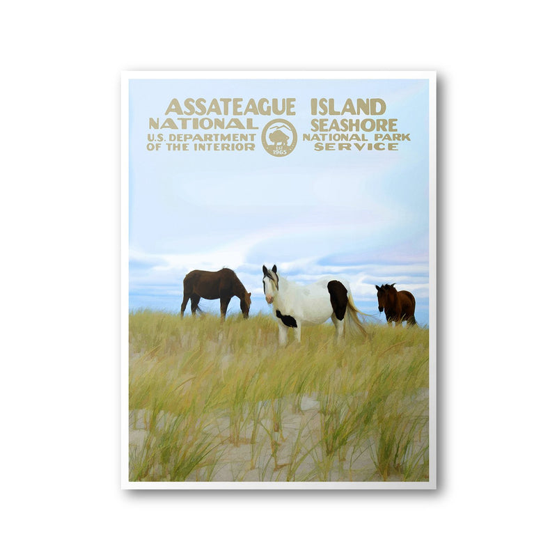 Assateague Island National Seashore Poster - Albion Mercantile Co.