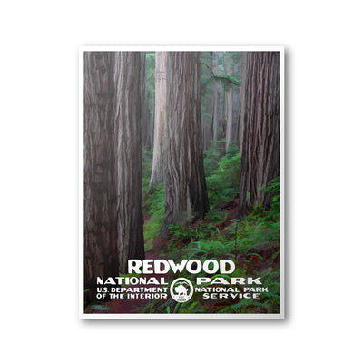 Redwood National Park Poster - Albion Mercantile Co.
