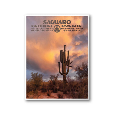 Saguaro National Park Poster - Albion Mercantile Co.