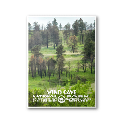 Wind Cave National Park Poster - Albion Mercantile Co.
